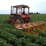 abc-agriculture-sector